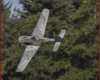 TSR Watermark - 0517